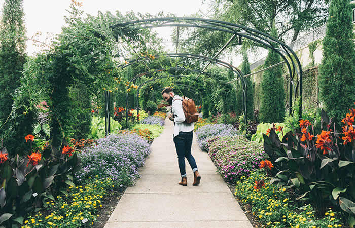 Felix Gillet Institute