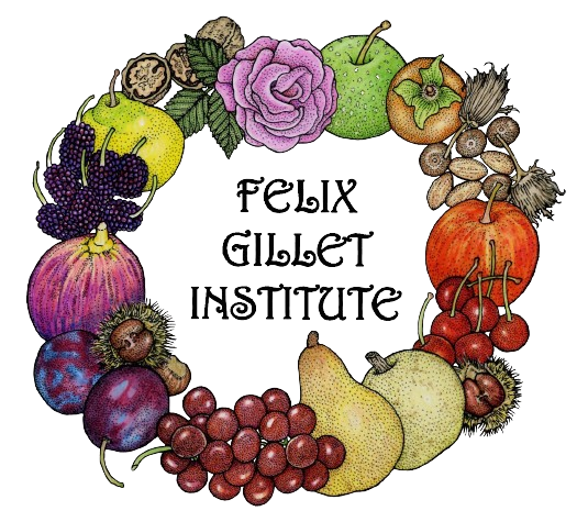 Felix Gillet Institute