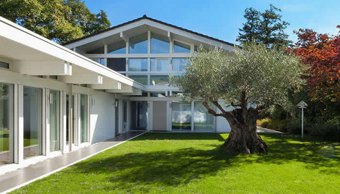 Community Heritage Tree Planting