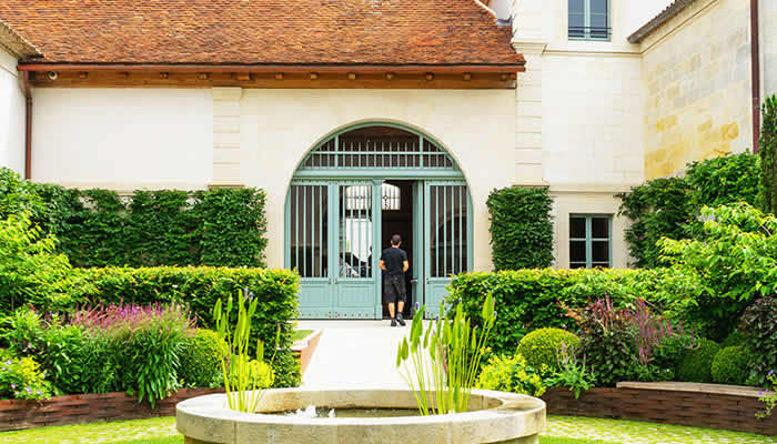 Educational Workshops on Tree Preservation