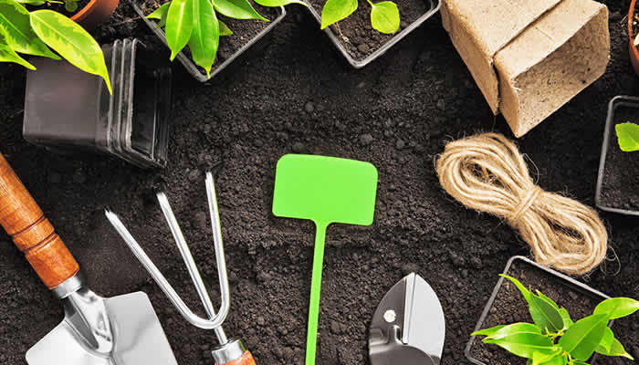 Conservation Efforts for Rare Tree Species