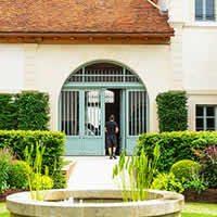 Heritage Trees Conservation