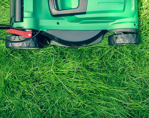 Heritage Tree Planting